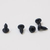 plaque mounting screws