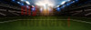 DIGITAL BACKGROUND - SOCCER STADIUM II - PANORAMIC