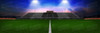 DIGITAL BACKGROUND - HOME TURF - RUGBY - PANORAMIC