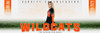 MULTI-SPORT PANORAMIC SPORTS BANNER TEMPLATE - SPORTS FADE - PHOTOSHOP LAYERED SPORTS TEMPLATE