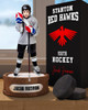 SPORTS POSTER PHOTO TEMPLATE - HOCKEY DISPLAY - LAYERED PHOTOSHOP SPORTS TEMPLATE