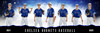 MULTI-SPORT PANORAMIC SPORTS BANNER TEMPLATE - SPARKS - PHOTOSHOP LAYERED SPORTS TEMPLATE