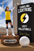 PLAYER BANNER PHOTO TEMPLATE - VOLLEYBALL DISPLAY