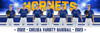 MULTI-SPORT PANORAMIC SPORTS BANNER TEMPLATE - SEAMS - PHOTOSHOP LAYERED SPORTS TEMPLATE