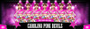 CHEERLEADING AND DANCE PANORAMIC SPORTS BANNER TEMPLATE - SHINE ON - PHOTOSHOP LAYERED SPORTS TEMPLATE