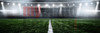 DIGITAL BACKGROUND - SOCCER STADIUM - PANORAMIC