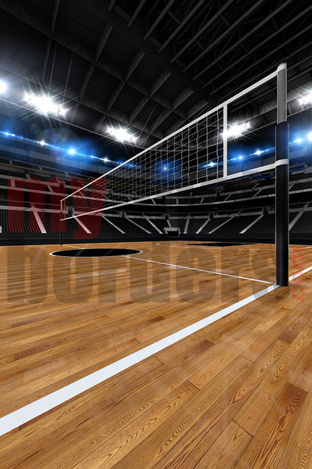 DIGITAL BACKGROUND - VOLLEYBALL  STADIUM II