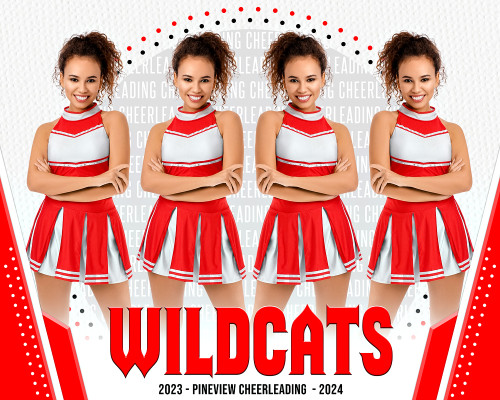 16x20 CHEERLEADING AND DANCE TEMPLATE - DIVA - CUSTOM PHOTOSHOP LAYERED SPORTS TEMPLATE