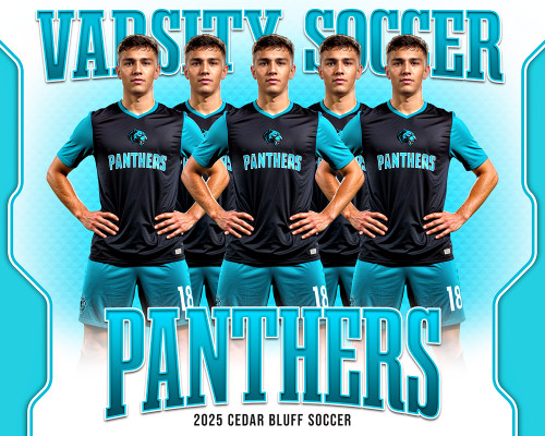 16x20 PHOTO TEMPLATE - PRISM - CUSTOM PHOTOSHOP LAYERED TEMPLATE