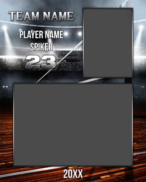 VOLLEYBALL MEMORY MATE - VERTICAL - STADIUM VOLLEYBALL MEMORY MATE - VERTICAL - STADIUM