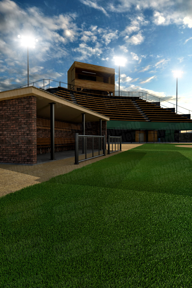Digital Sports Background - Baseball Park VI