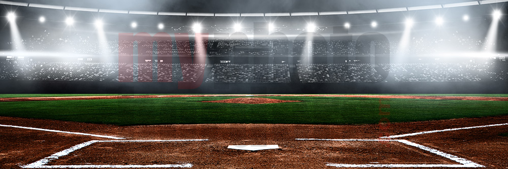 Baseball Unzipped Digital Background Digital Backdrop 