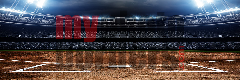 American Softball Panoramic Team Banner Template