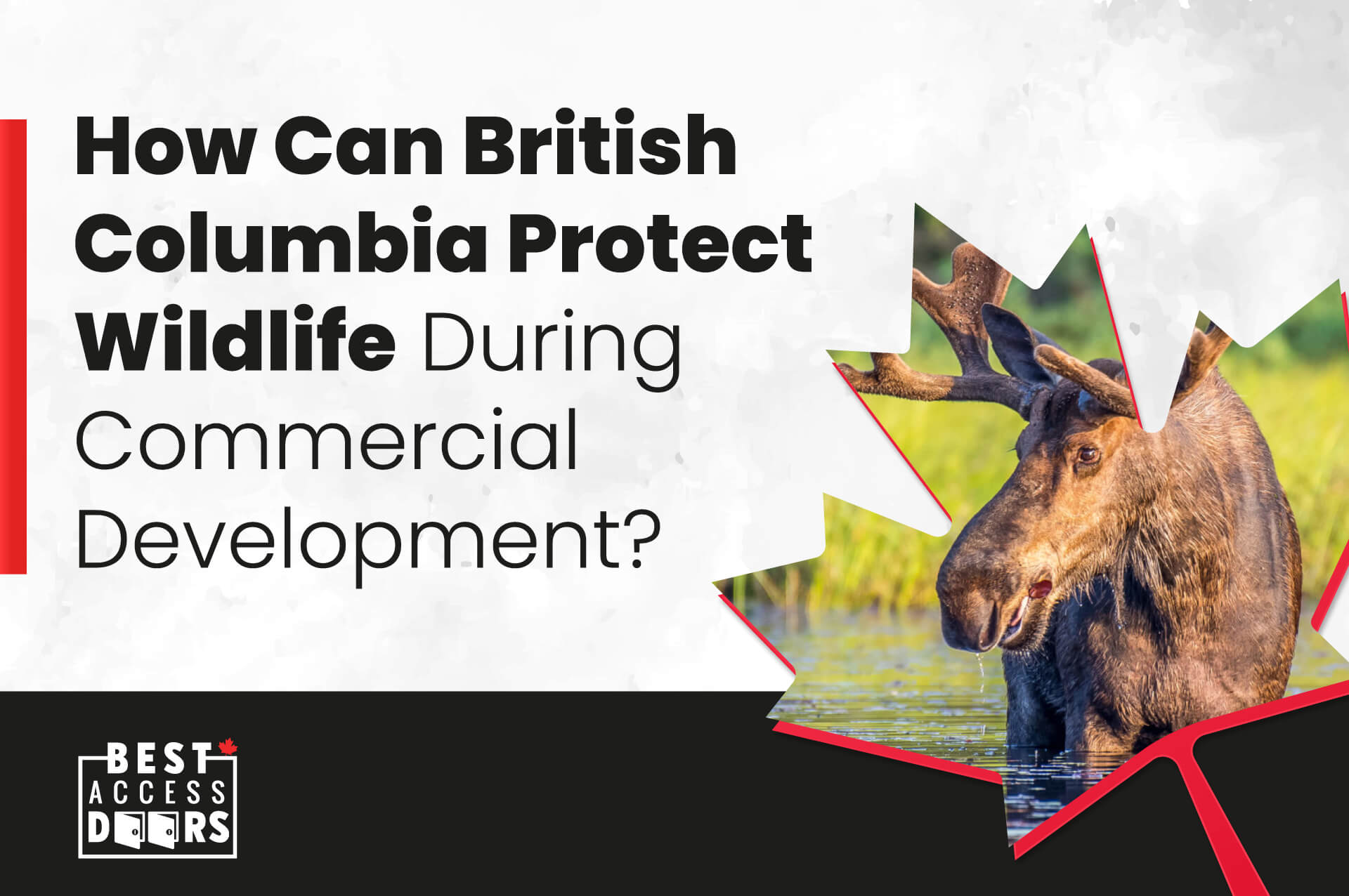How Can British Columbia Protect Wildlife During Commercial Development?
