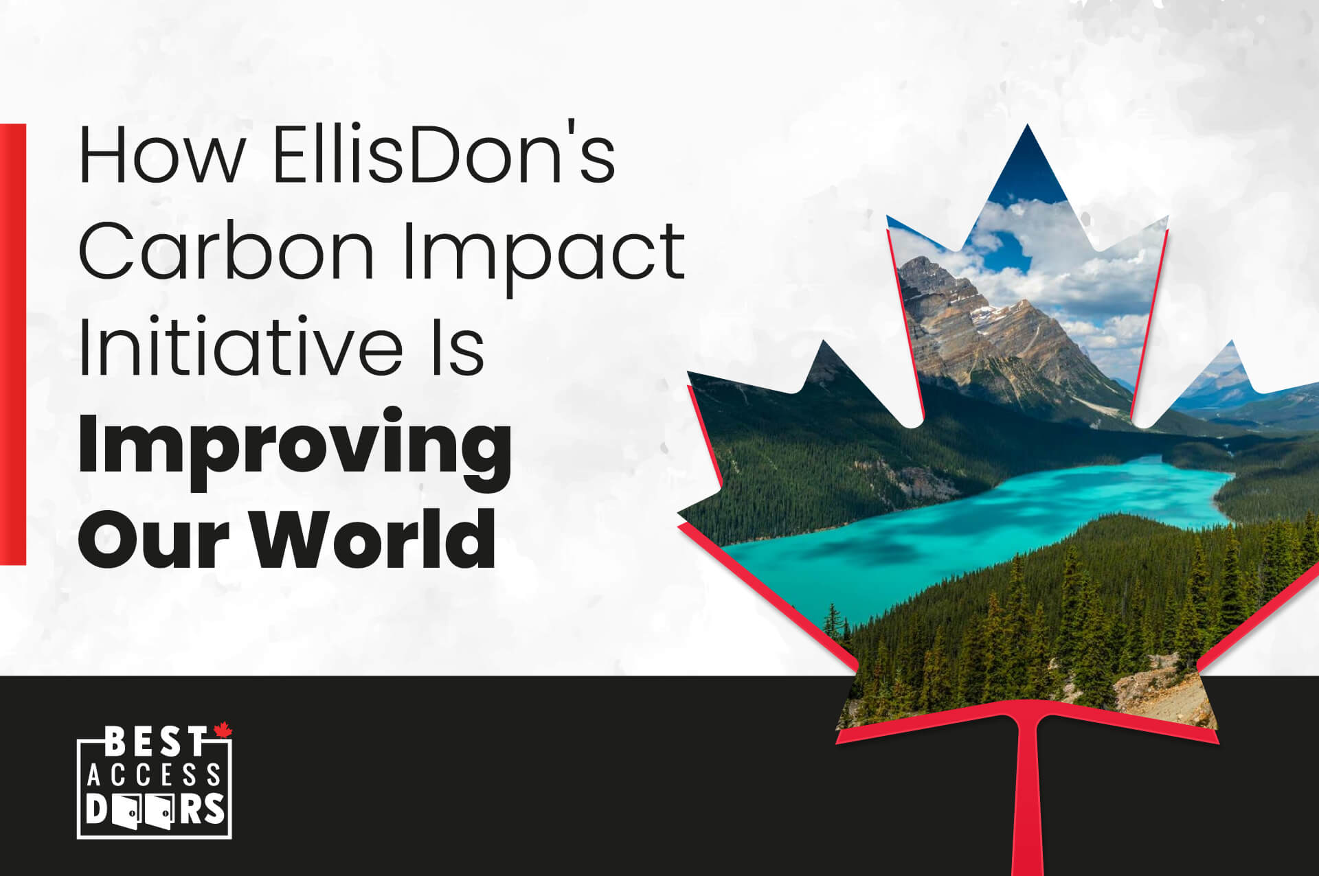 EllisDon's Carbon Impact Initiative in Improving Our World