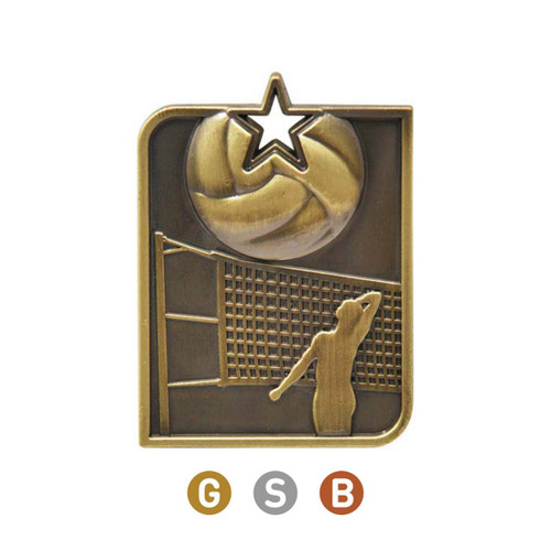 Rectangle Series Volleyball Medal