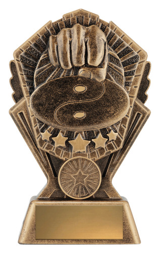 Cosmos Series Martial Arts Trophy 150mm