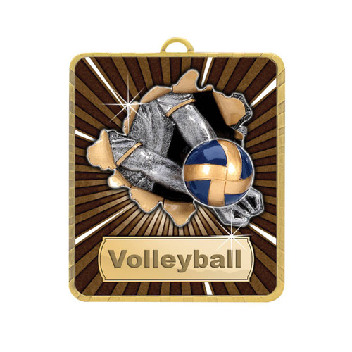 Lynx Series Volleyball Medal