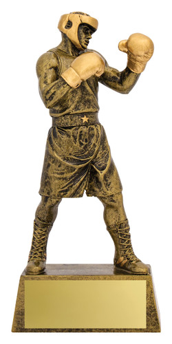 Action Series Boxing Trophy 190mm A1249B