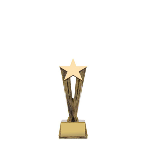 Cherish Star Trophy 170mm