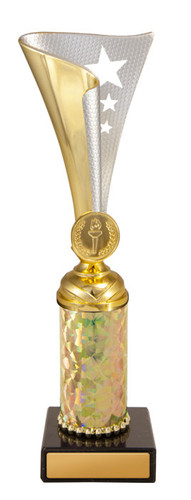 Epic Cup Gold/Silver 250mm