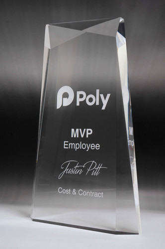 Acrylic Artic Pinnacle Award