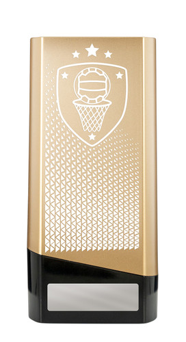 Gold Block Series Netball Trophy 160mm