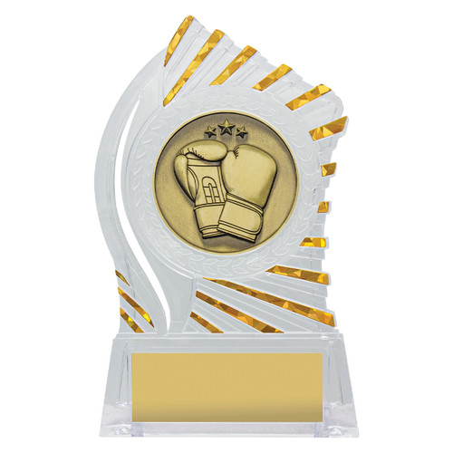 Solar Series Acrylic Boxing Trophy
