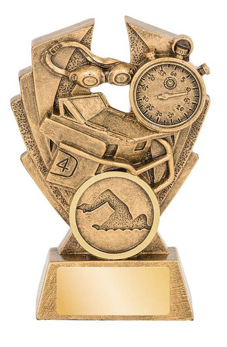 Hawk Series Swimming Trophy 100mm