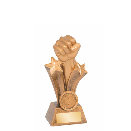 Power Series Fist Trophy 150mm