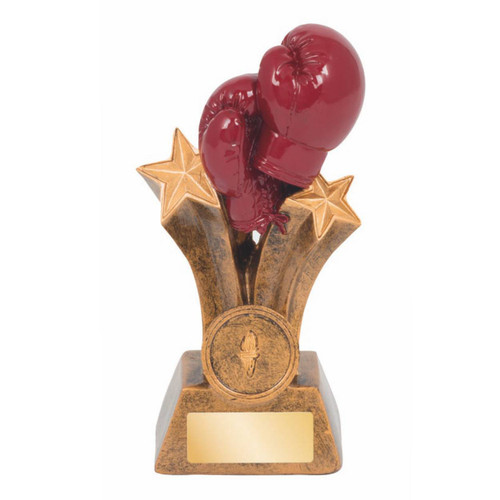 Power Series Boxing Gloves Trophy 155mm