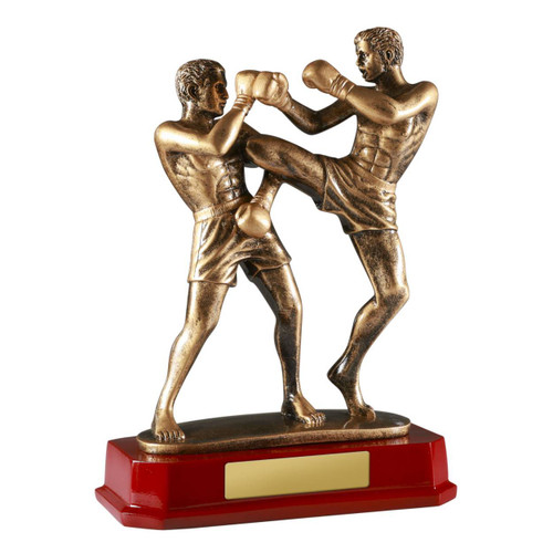 Kickboxing Trophy - Double