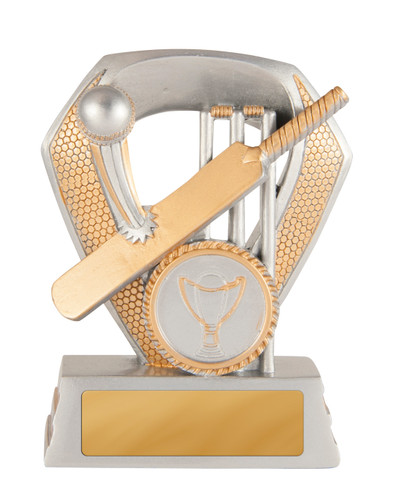 Shield Series Cricket Trophy 100mm 616-1A