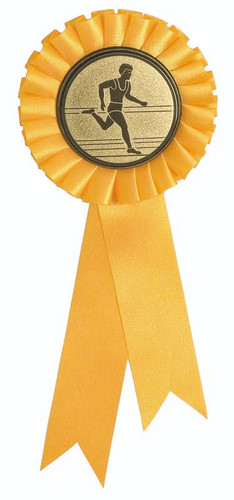 Ribbon Rosette 135mm Yellow