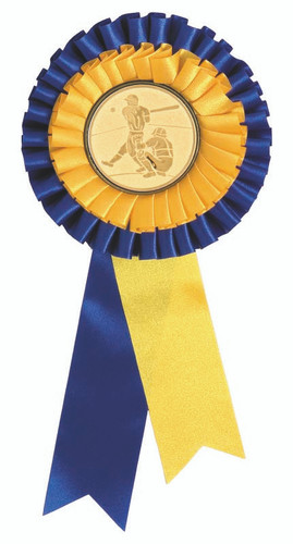 Double Ribbon Rosette 120mm Blue/Yellow