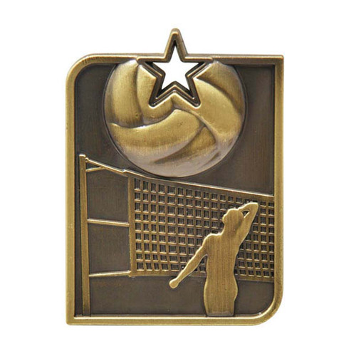Rectangle Series Volleyball Medal Gold