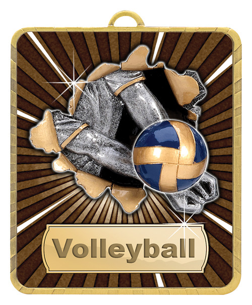 Lynx Series Volleyball Medal