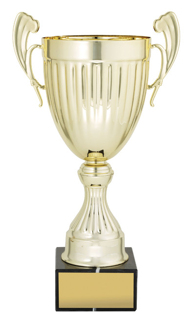 Endeavour Cup Gold 270mm