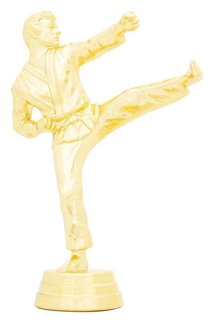 Male Martial Arts Figure Trophy