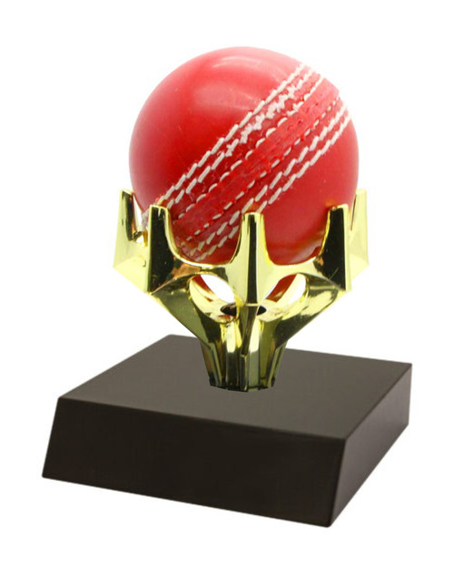 Cricket Ball Holder