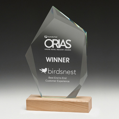 Journey Series Crystal & Timber Award