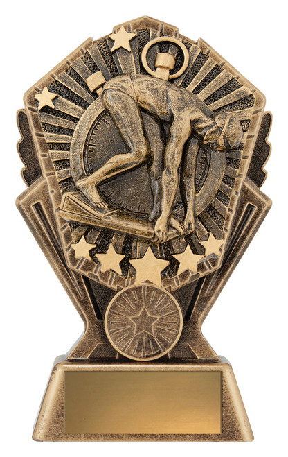 Cosmos Series Swimming Male Trophy 150mm