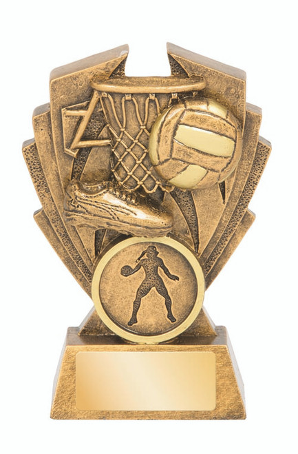 Hawk Series Netball Trophy 100mm