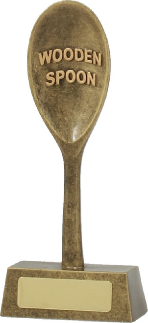 Novelty Wooden Spoon Trophy 165mm