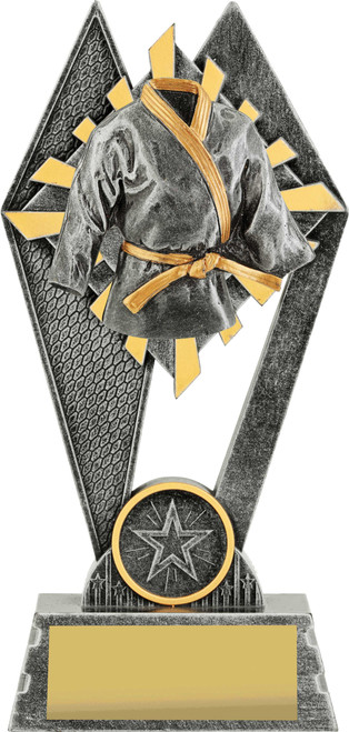 Peak Series Martial Arts Trophy 180mm