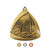 Triangle Series Swimming Medal