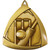 Triangle Series Cricket Medal Gold M1135G