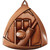 Triangle Series Cricket Medal Bronze M1135B