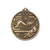 Alpha Series Swimming Medal Gold