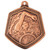 Falcon Series Swimming Medal Bronze